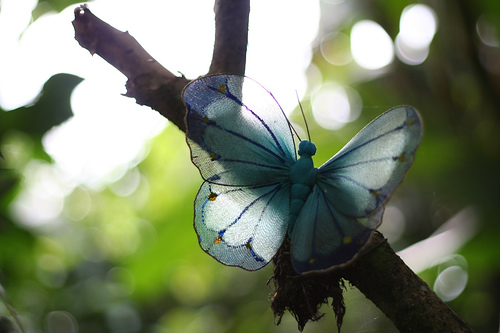 jayvee butterfly effect.jpg